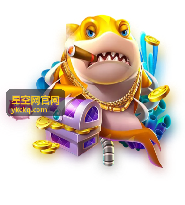 星空网官网深夜架设赤道仪并校准极轴的实拍场景